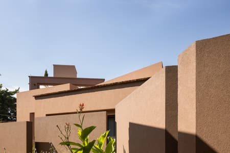 House around the Tree